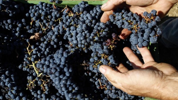 Снимка: Архив Reuters