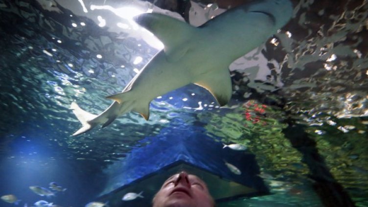 Снимка: Reuters