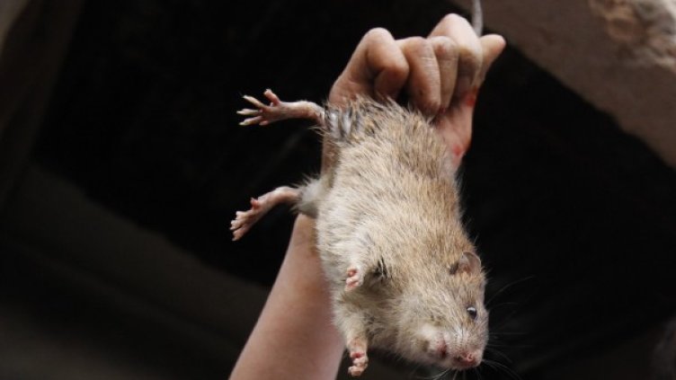 Снимка: Архив Reuters