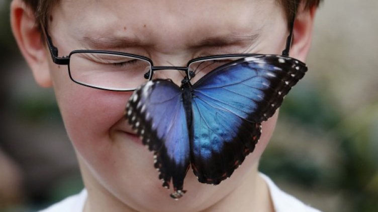 Снимка: Архив Reuters