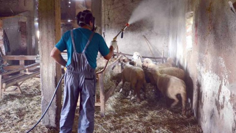 Снимка: архив, БТА