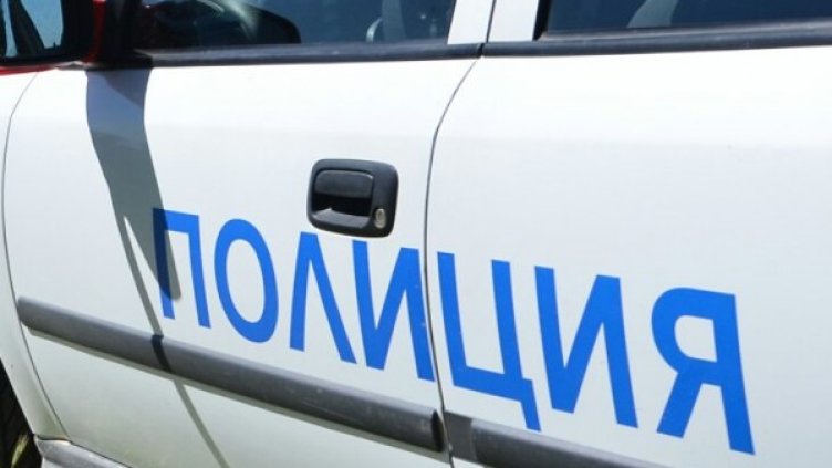 Снимка: архив Булфото