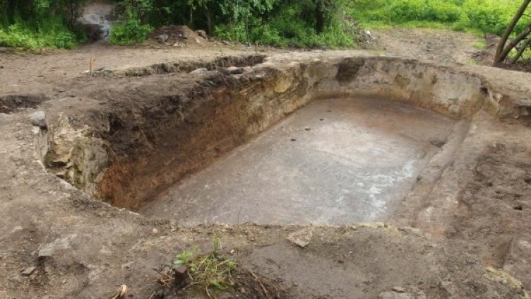 Снимка: НИМ