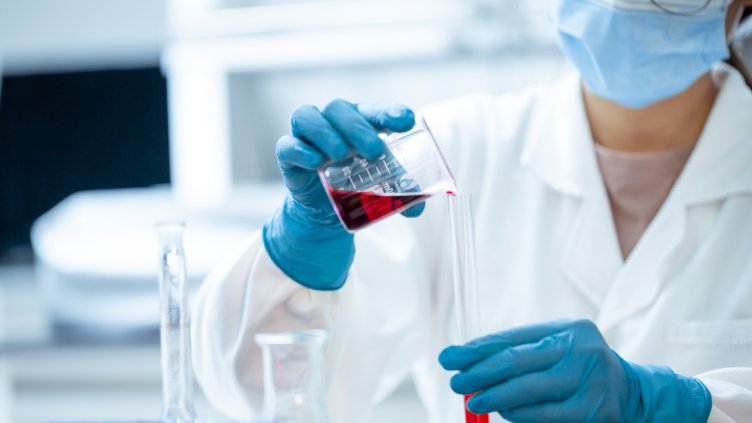 Снимка: Pixabay