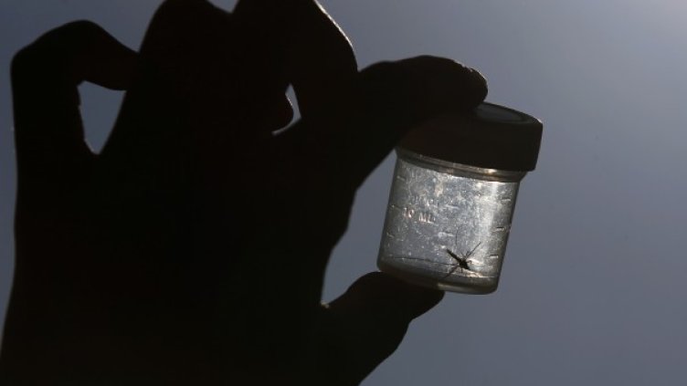 Снимка: архив, Ройтерс