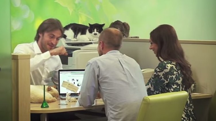 Снимка: YouTube