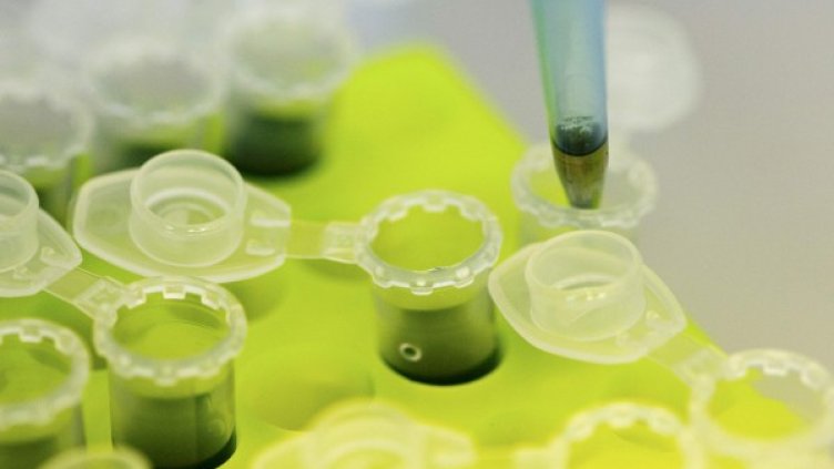 Снимка: архив, Ройтерс