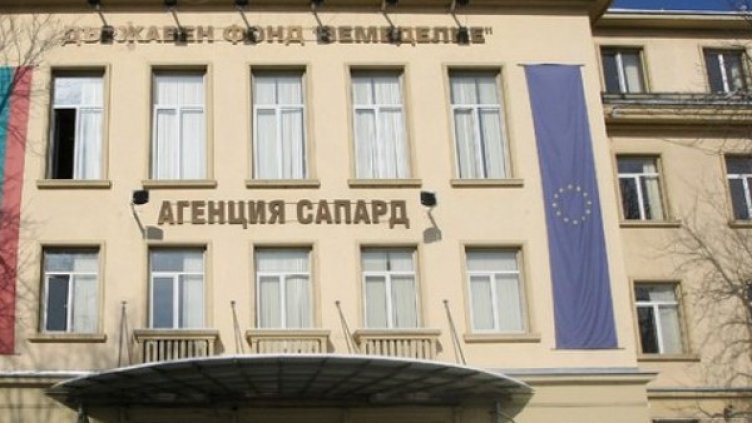 Снимка: архив, Булфото