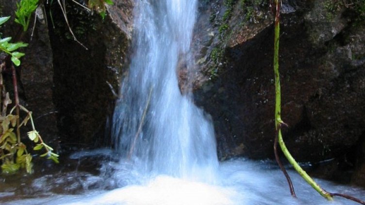 Снимка, архив Булфото