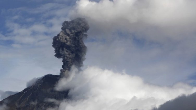 Снимка, архив Булфото