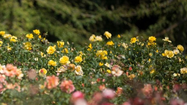 Снимка: архив, Reuters