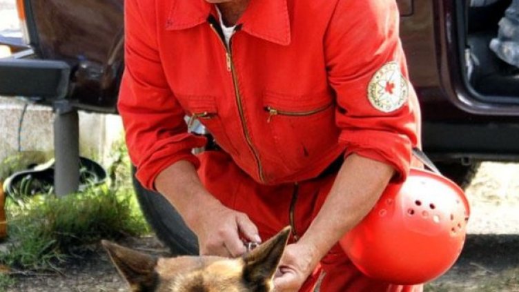 Снимка: архив, БулФото