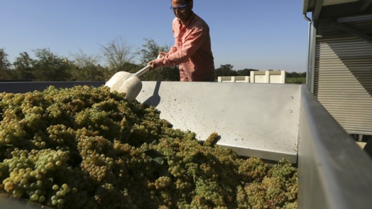 Снимка: Reuters