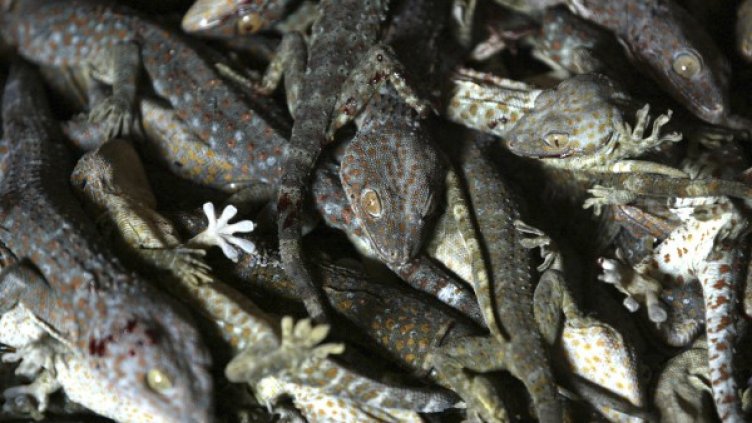 Снимка: Reuters, архив