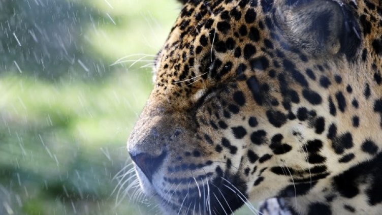 Снимка: архив Ройтерс