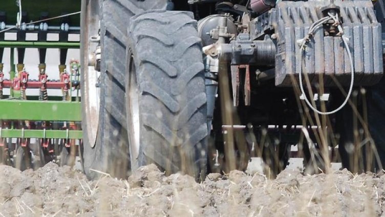 Снимка: архив, БулФото