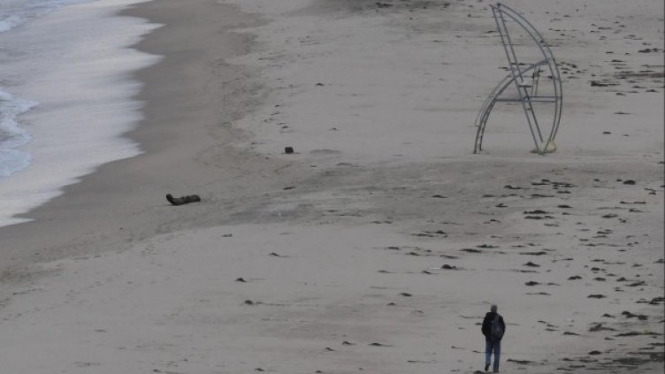 Снимка: архив Булфото