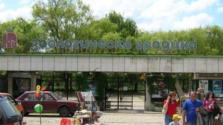 Снимка: Столичният зоопарк