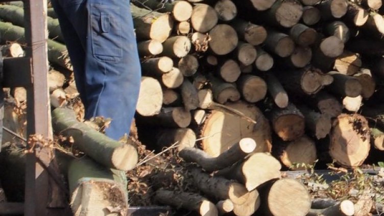 Снимка: архив, БулФото