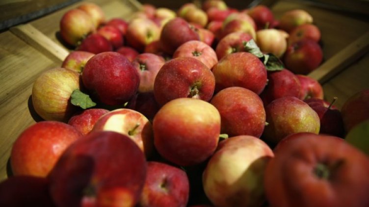 Снимка: Reuters