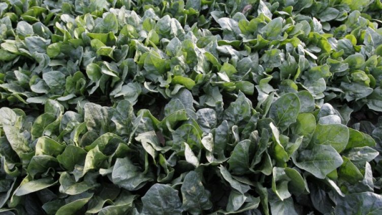 Снимка: Архив Reuters