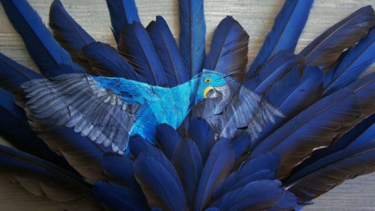 Снимка: Facebook