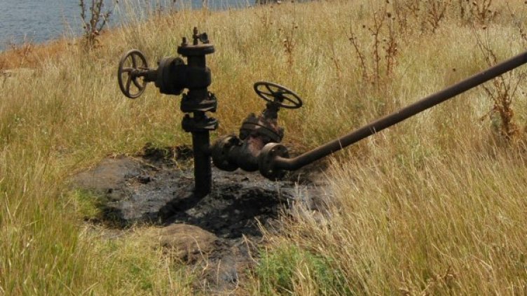 Снимка: Булфото, архив