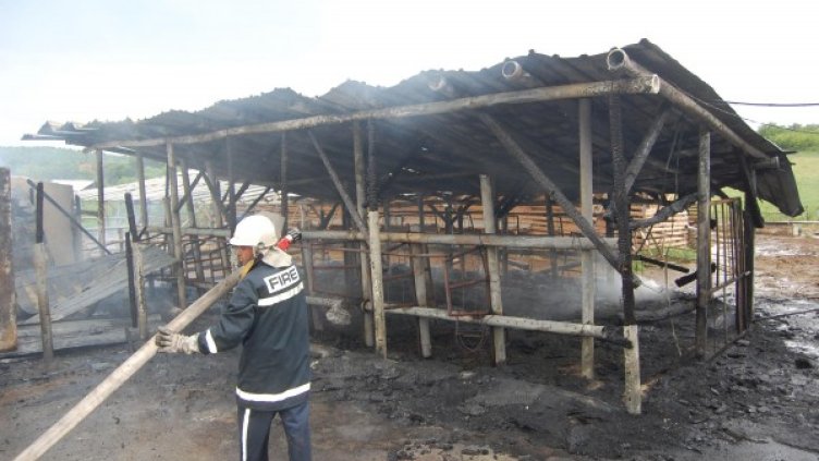 Снимка: Булфото, архив