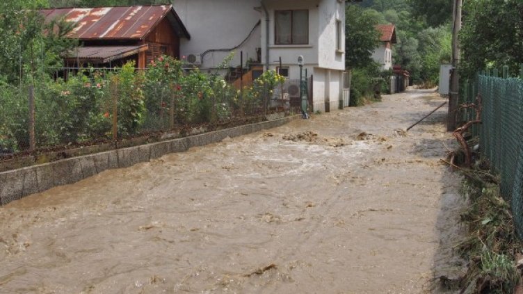 Снимка: архив Булфото
