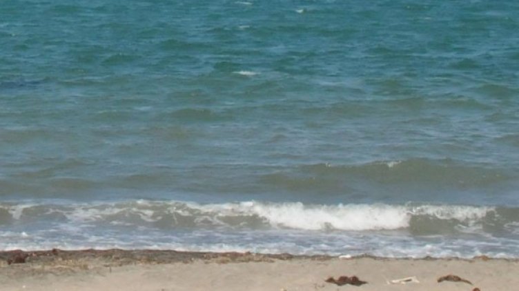 Снимка: архив, БулФото