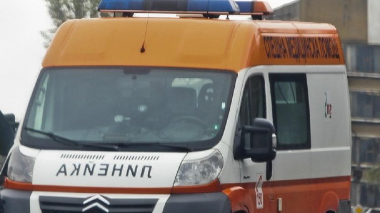 Снимка: архив, Булфото