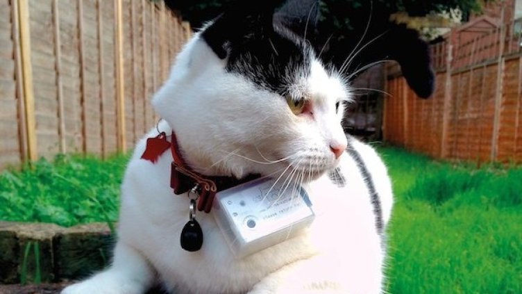 Снимка: Крис Кийни