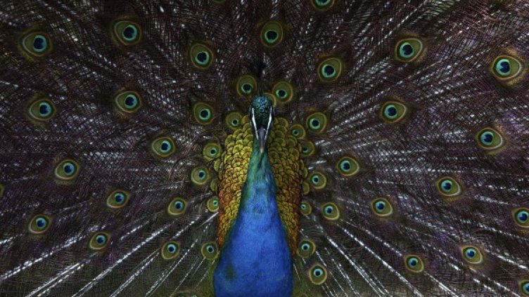 Снимка: архив, Reuters