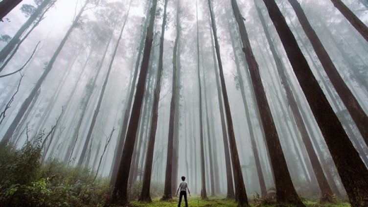 Величието на природата, а ние сме само едни прашинки...