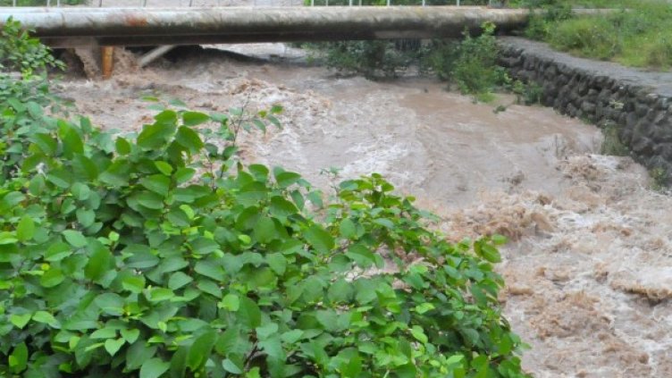 Снимка: Булфото, архив