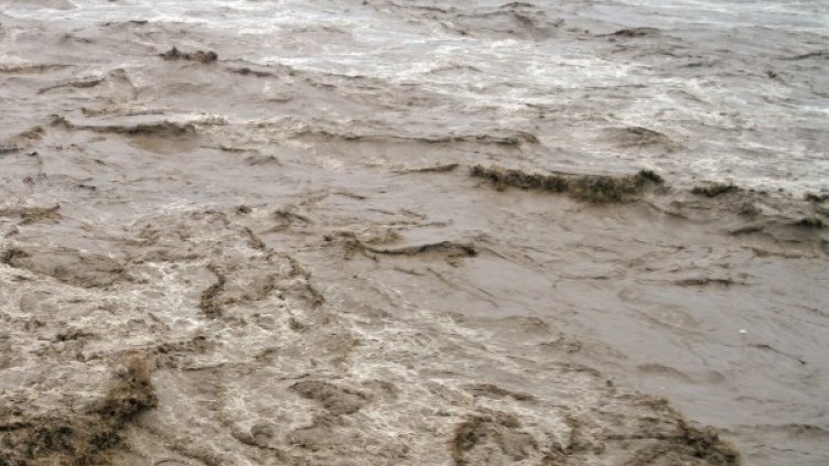 Снимка: Reuters, архив