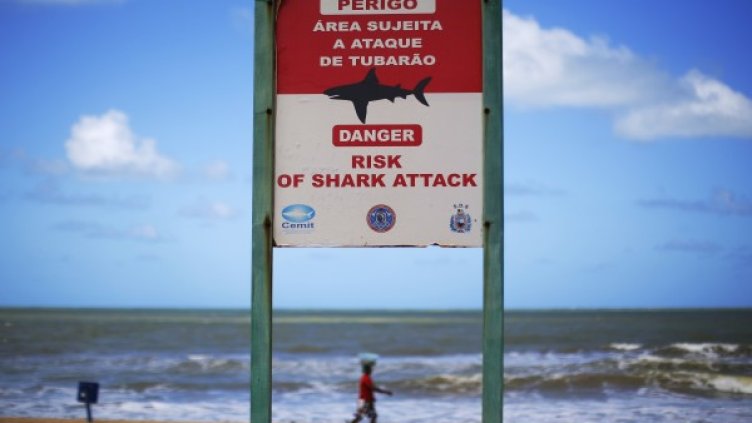 Снимка: архив Reuters