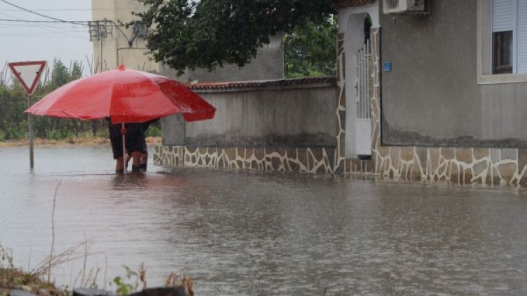 Снимка: Impact Press Group