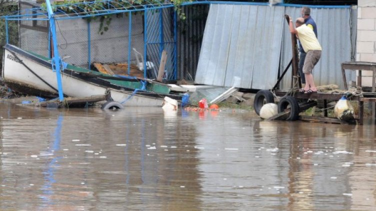 Архив: Булфото
