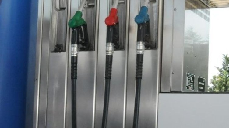 Снимка: архив Булфото