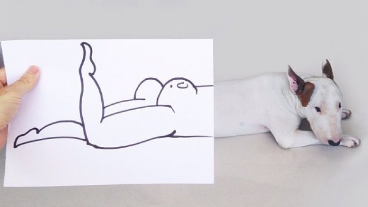 Кучето с най-вълнуващия живот