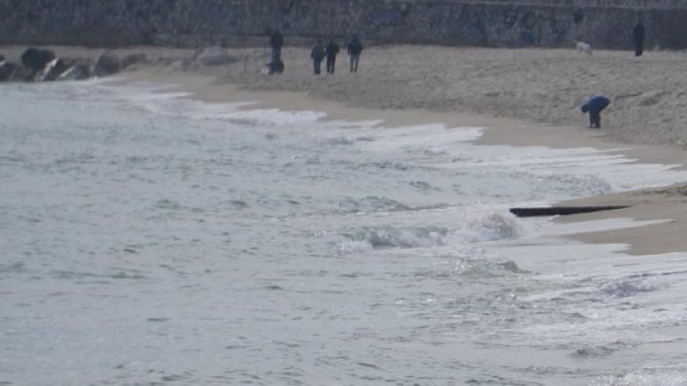 Снимка: Булфото, архив