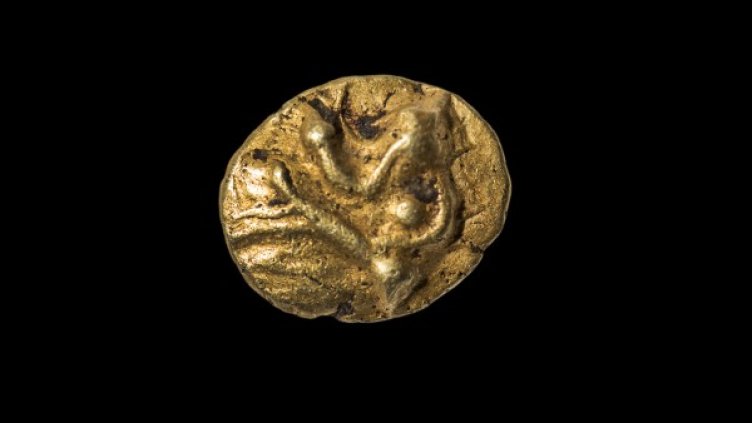 Снимка: НИМ
Снимка: НИМ