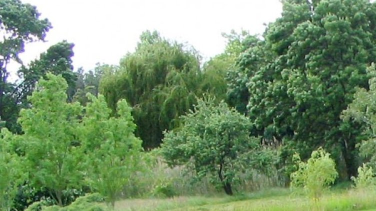 Снимка: Булфото, архив