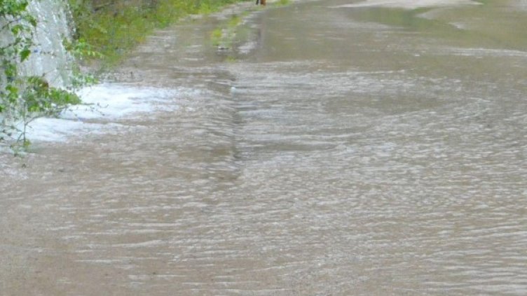 Снимка: Булфото, архив