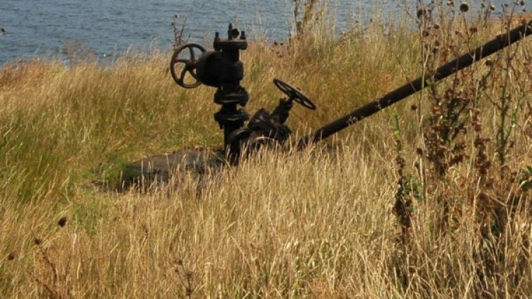 Снимка: Булфото, архив