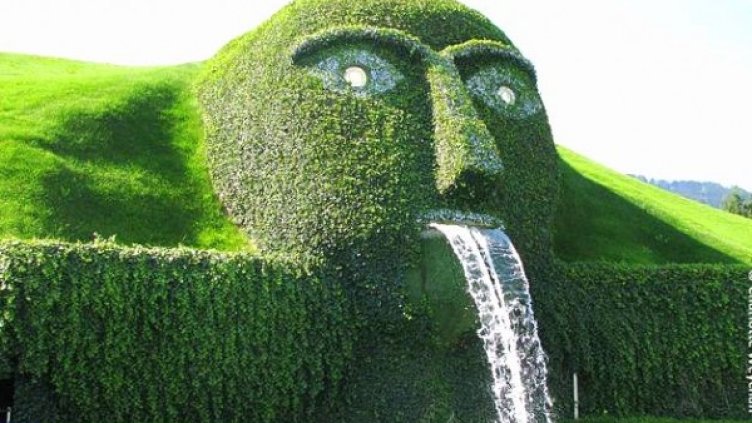 Снимка: thegallopinggardener.blogspot.com