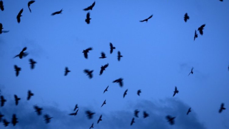 Снимка: Архив Reuters