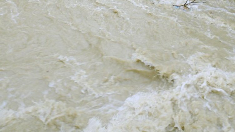 Снимка: архив Булфото