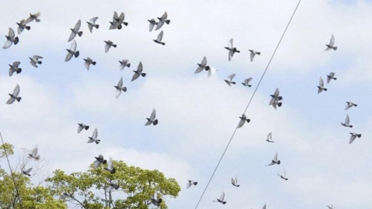 Снимка:  Reuters, архив